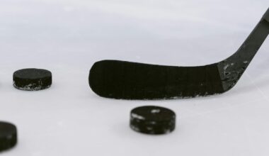 Multi-brawl game that drew 572 penalty minutes a 'black eye' on N.L. hockey: official