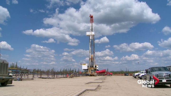 Click to play video: 'Alberta government offering tool to municipalities to help collect taxes from energy firms'
