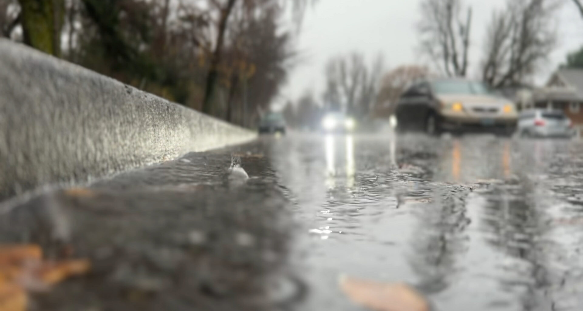 Atmospheric river to bring over 300 mm of rain to Vancouver Island