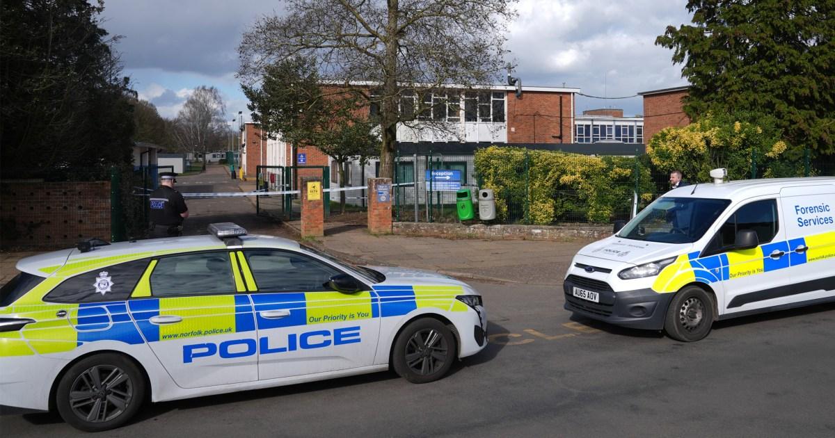 Boy, 15, charged with attempted murder after girl stabbed at Thorpe St Andrew School | News UK