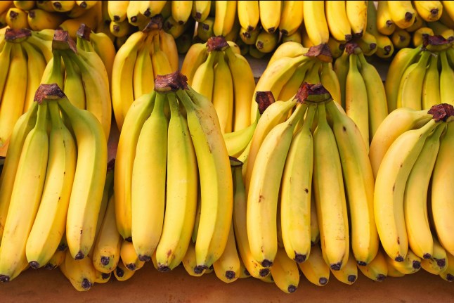 Numerous bunches of ripe yellow and slightly green-tinged bananas are tightly arranged, showcasing a rich and abundant harvest, ready for market or consumption.