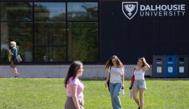 International student program ‘fell short’ on investigating problematic cases: auditor general - CTV News