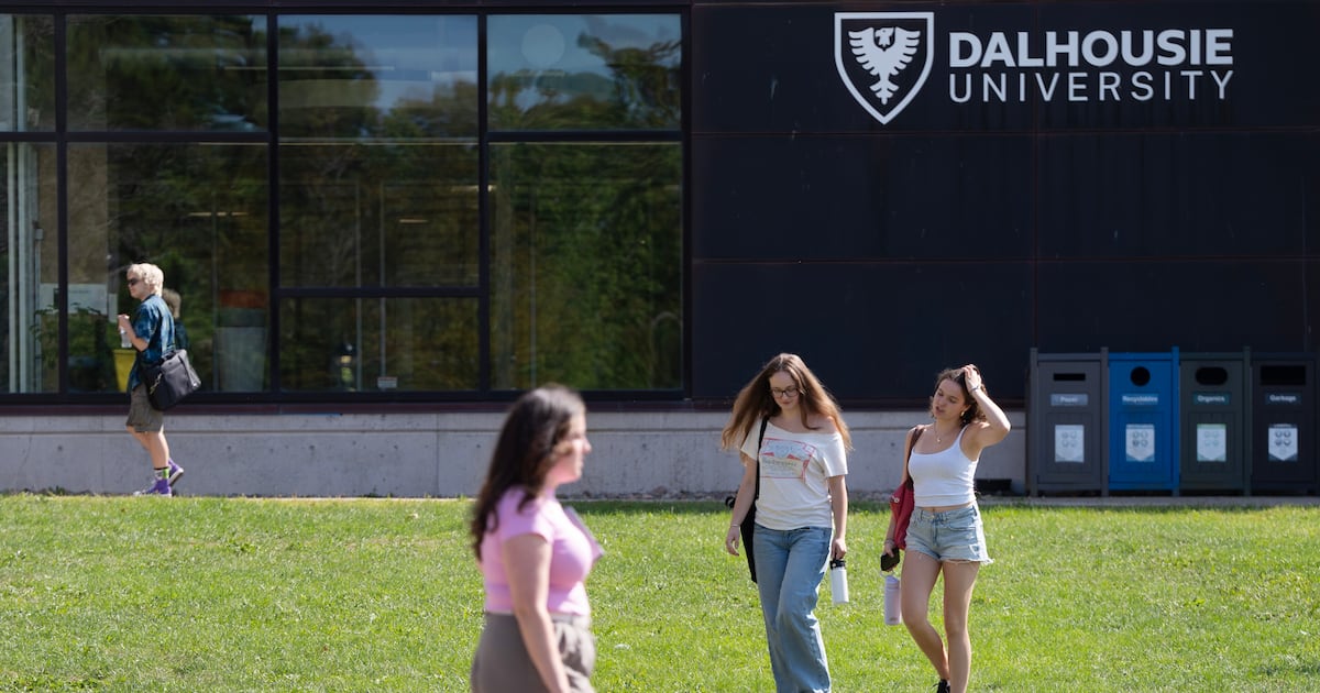International student program ‘fell short’ on investigating problematic cases: auditor general - CTV News