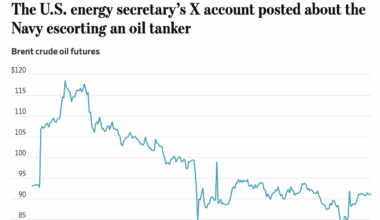 Blips and Gyrations: The Market Thinking of Trump's Incompetent Advisors