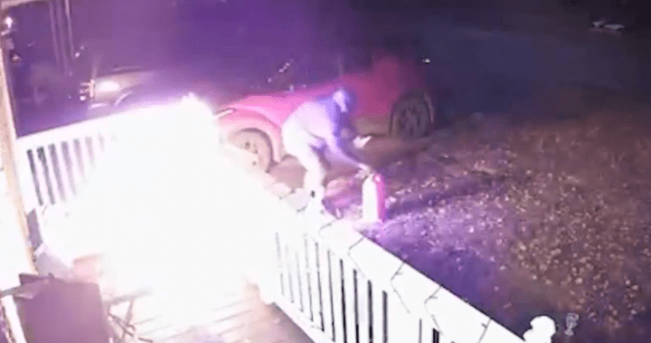 Ontario influencer fatally stabbed had home targeted in arson: police