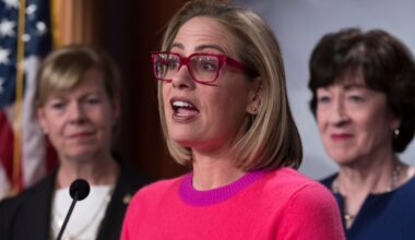 Ex-senator Sinema admits to romantic relationship with her security guard amid lawsuit over alleged affair