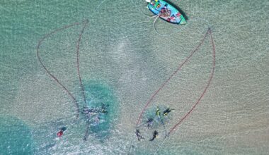 Iron from a 2,600-year-old shipwreck off Israeli coast may rewrite the history of war