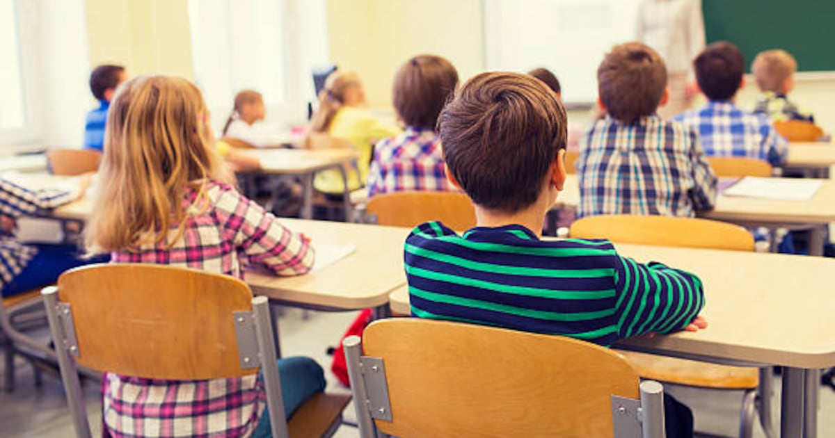 Toronto Catholic school board supervisor announces cuts to literacy program