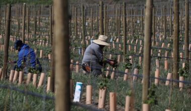 Ottawa to allow more hiring of low-wage temporary foreign workers in rural areas