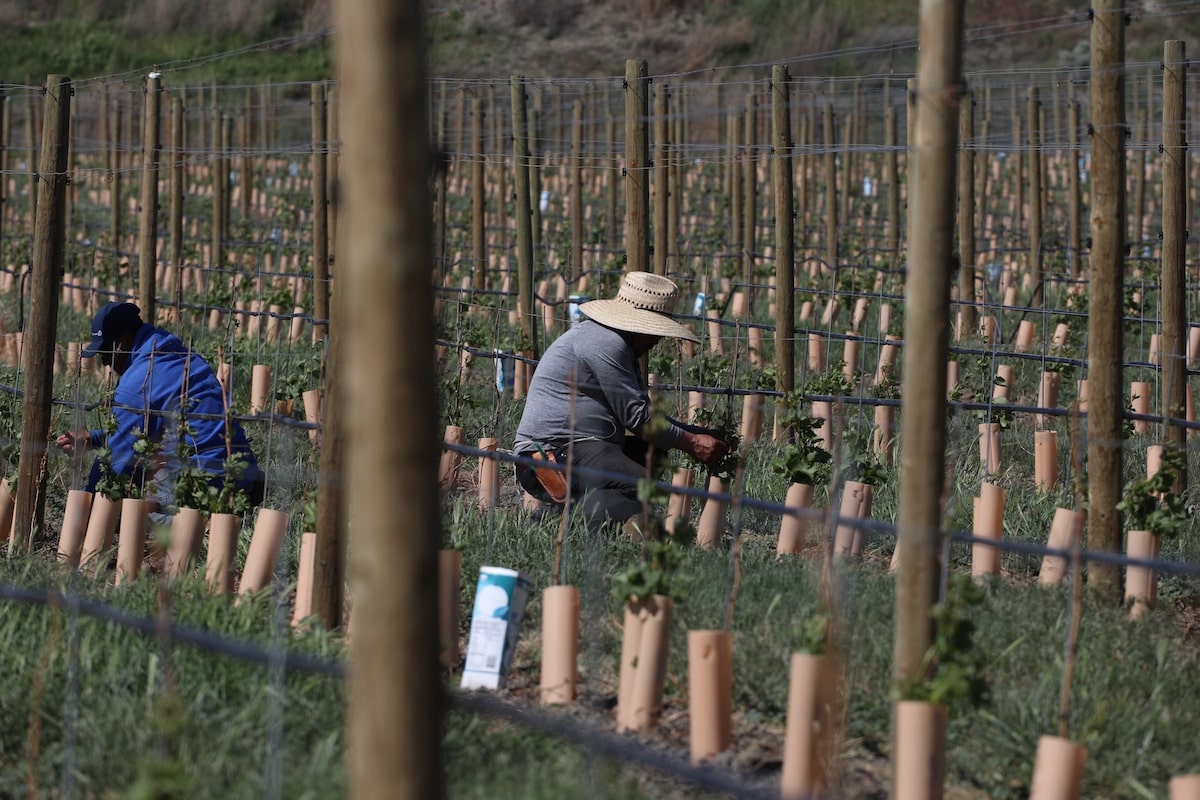Ottawa to allow more hiring of low-wage temporary foreign workers in rural areas