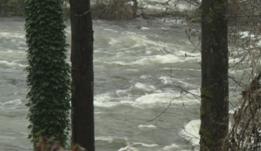 Atmospheric river brings ‘tremendous’ amount of rain to B.C. South Coast - BC