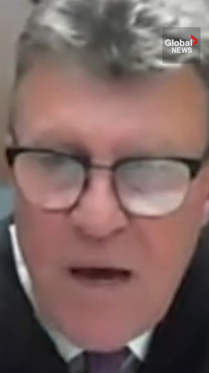 Click to play video: 'Woman scolded by judge after joining virtual court hearing while driving, lying about it'