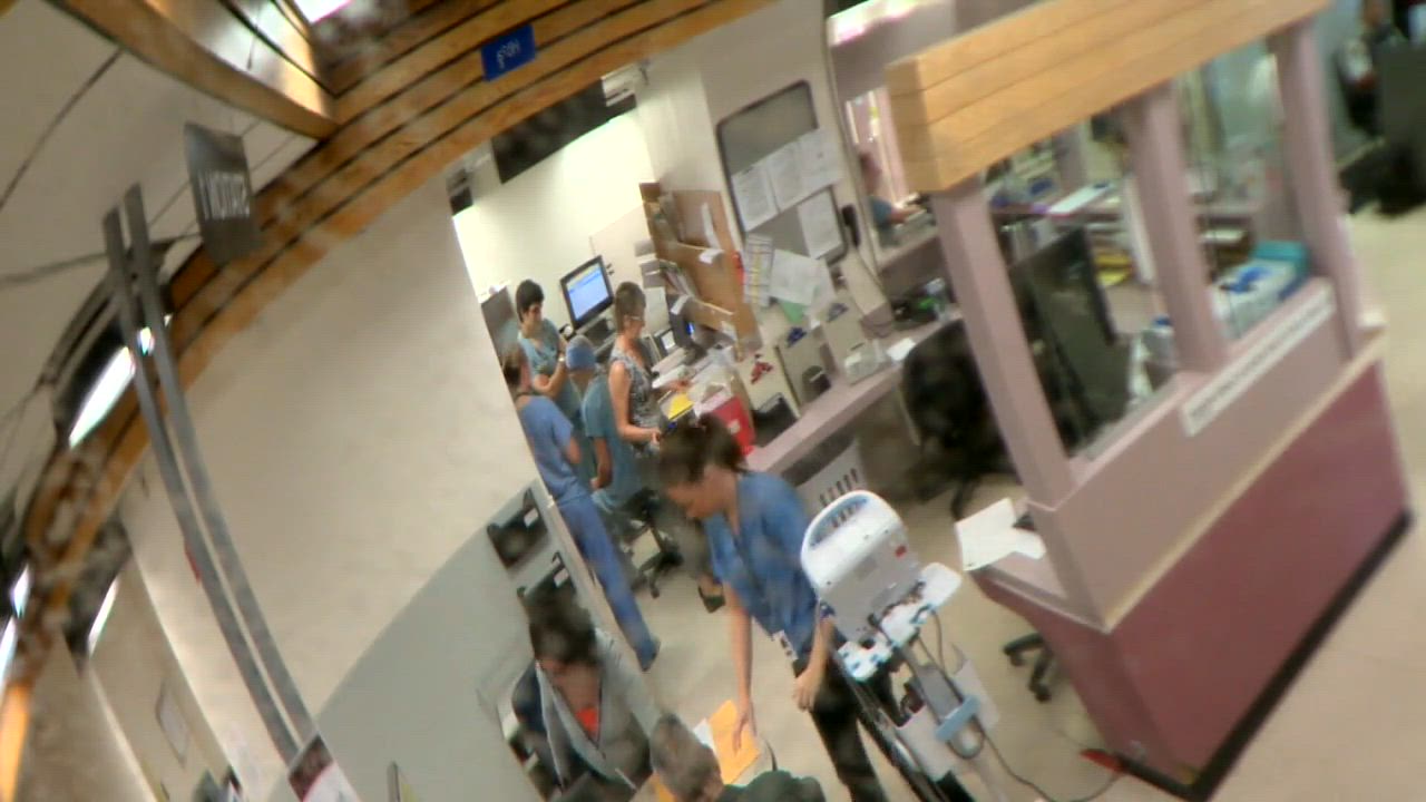 Click to play video: 'Winnipeg population rise could put greater pressure on strained sectors'