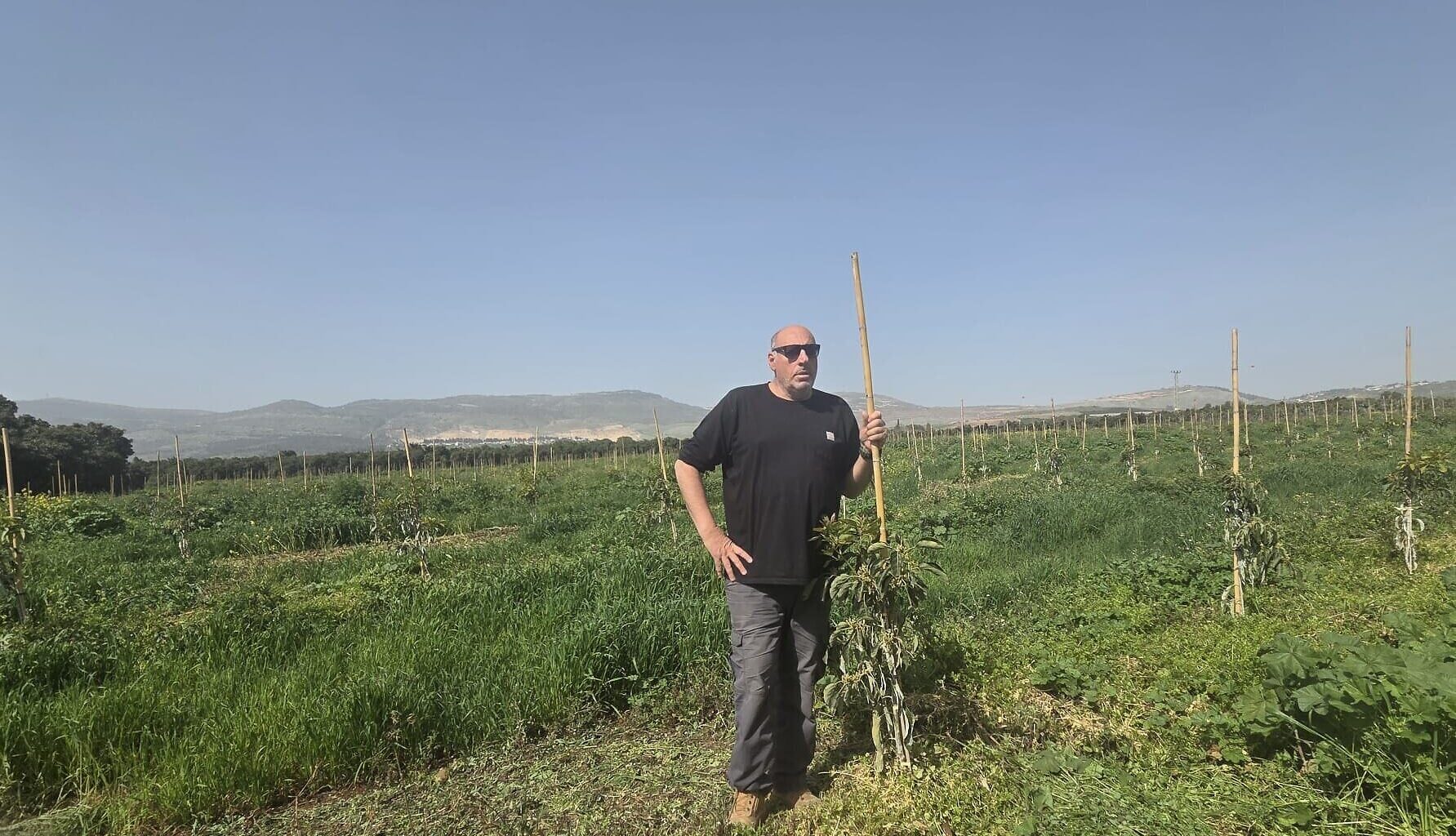 As Hezbollah strongholds crop back up, northern farmers regrow destroyed fields
