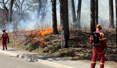 Controlled fires to be held at High Park and Lambton Park