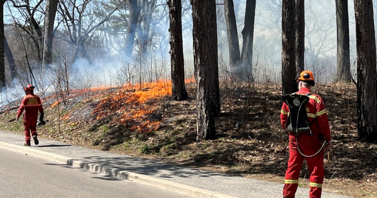 Controlled fires to be held at High Park and Lambton Park
