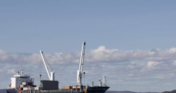 3 Canadians back home after being stranded on cargo ship in Strait of Hormouz