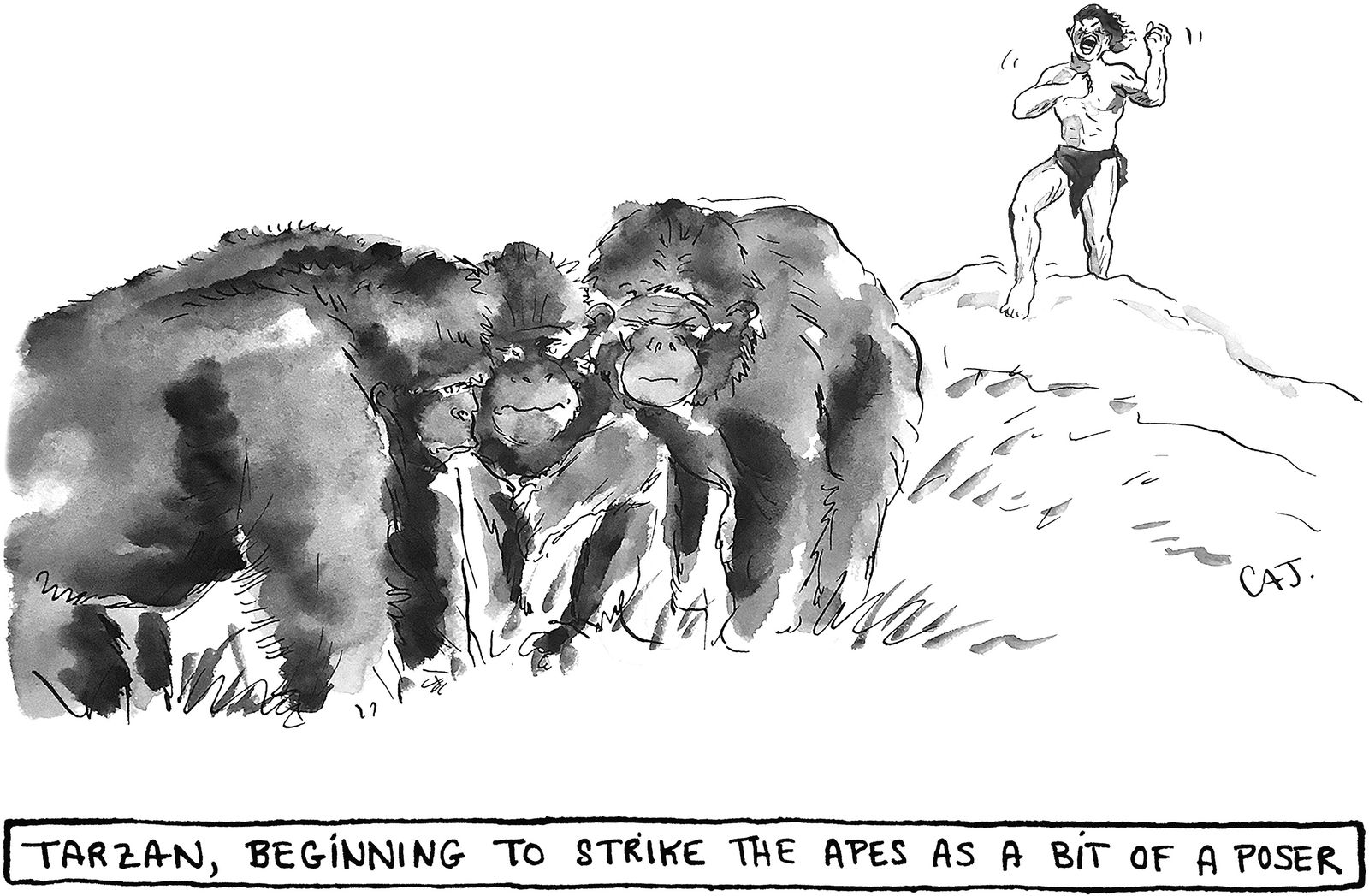 Apes in group looking judgmentally at Tarzan who is beating his chest.