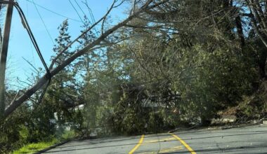 Wind storm knocks power out for thousands in Nanaimo & Oceanside | NanaimoNewsNOW