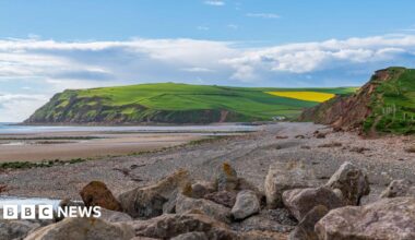 A general view of St Bees head. The image is taken from a rocky part of the beach while the tide is out, exposing part of the sandy seabed. The sun is shining on the green grass on St Bees head, with a yellow rape field on the lower slope.