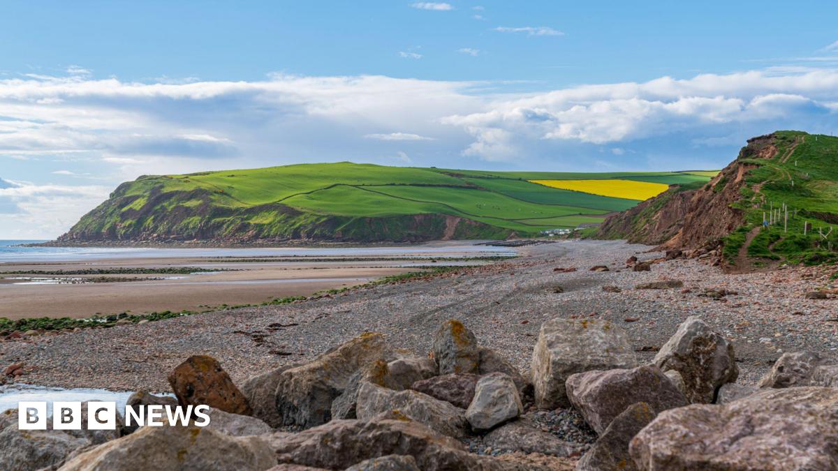 A general view of St Bees head. The image is taken from a rocky part of the beach while the tide is out, exposing part of the sandy seabed. The sun is shining on the green grass on St Bees head, with a yellow rape field on the lower slope.