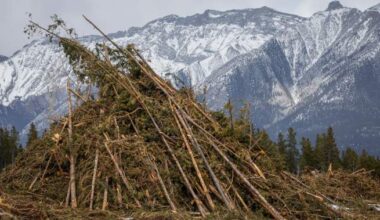 Alberta mountain towns deal with ‘low-grade anxiety’ as wildfire season begins
