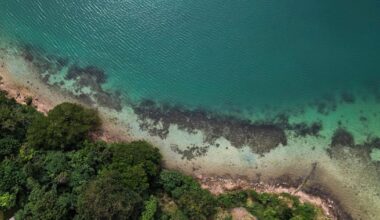 Sea levels much higher than previously thought due to "methodological blind spot," study finds