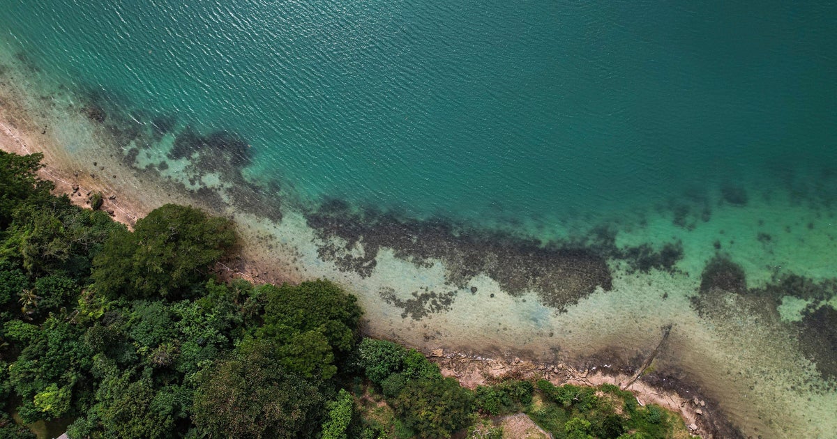 Sea levels much higher than previously thought due to "methodological blind spot," study finds