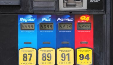 What is the TACO trade and are investors profiting amid war on Iran? | Business and Economy News