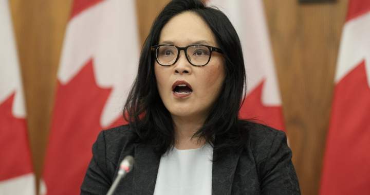 MPs reject bill to close arms export loophole despite some Liberal support - National