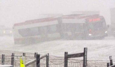 Calgary hit by unexpected blast of spring snow, causing dozens of crashes
