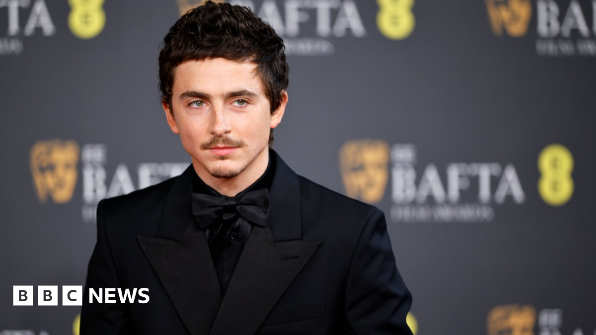 Timothee Chalamet poses on the red carpet at the EE BAFTA Film Awards 2026 at the Royal Festival Hall in London, Britain, 22