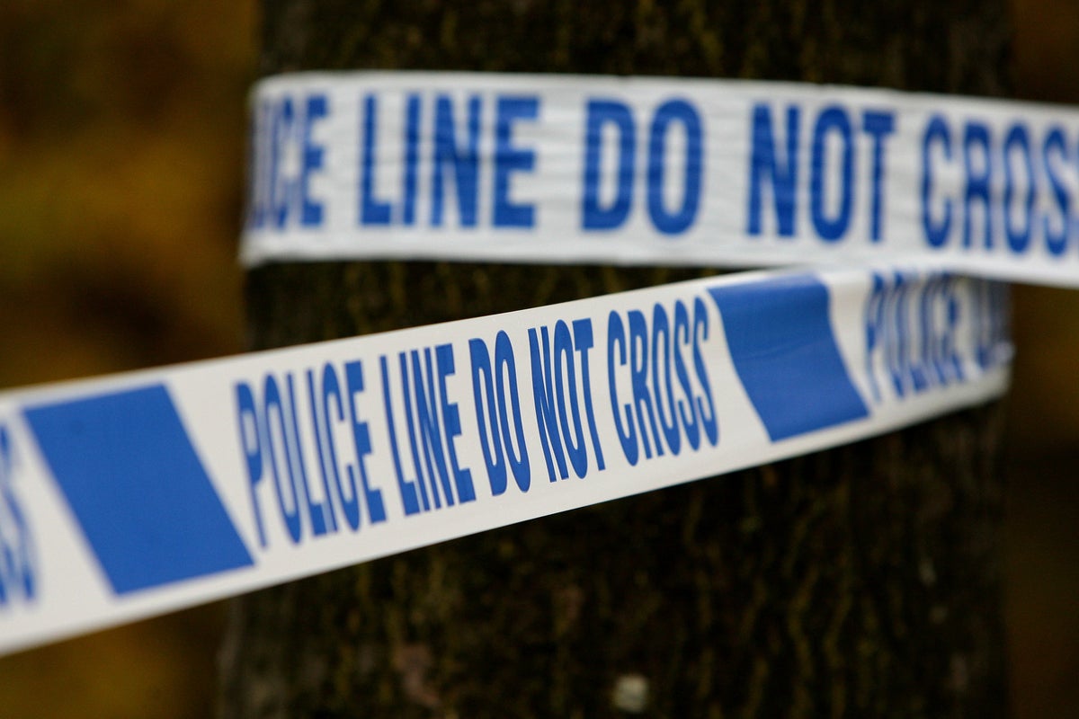 Man dies after skydive in Devon, police say