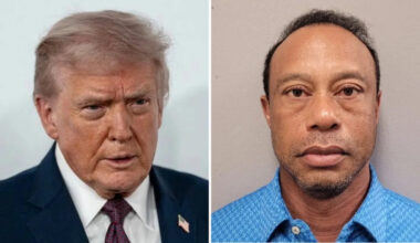 Yahoo entertainment home