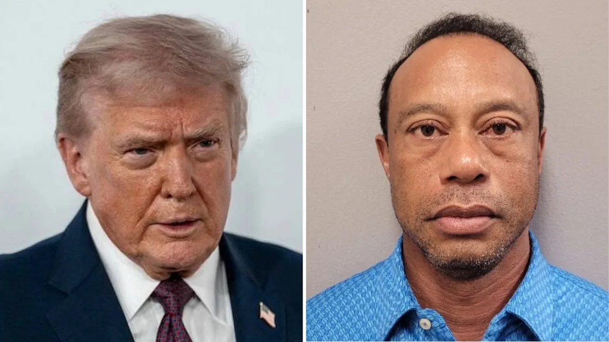 Yahoo entertainment home