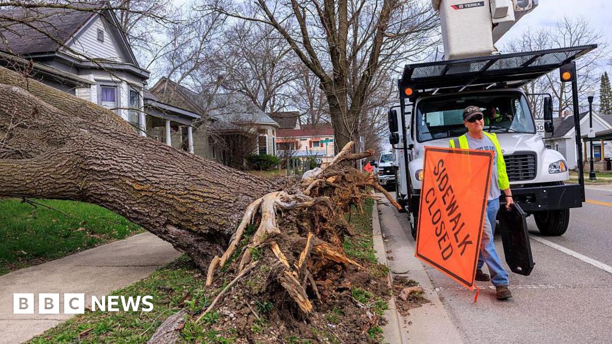 Fierce winds blew down a tree in Bloomington, Indiana