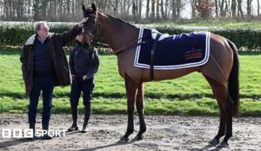 Harry Redknapp touching the head of Jukebox Man