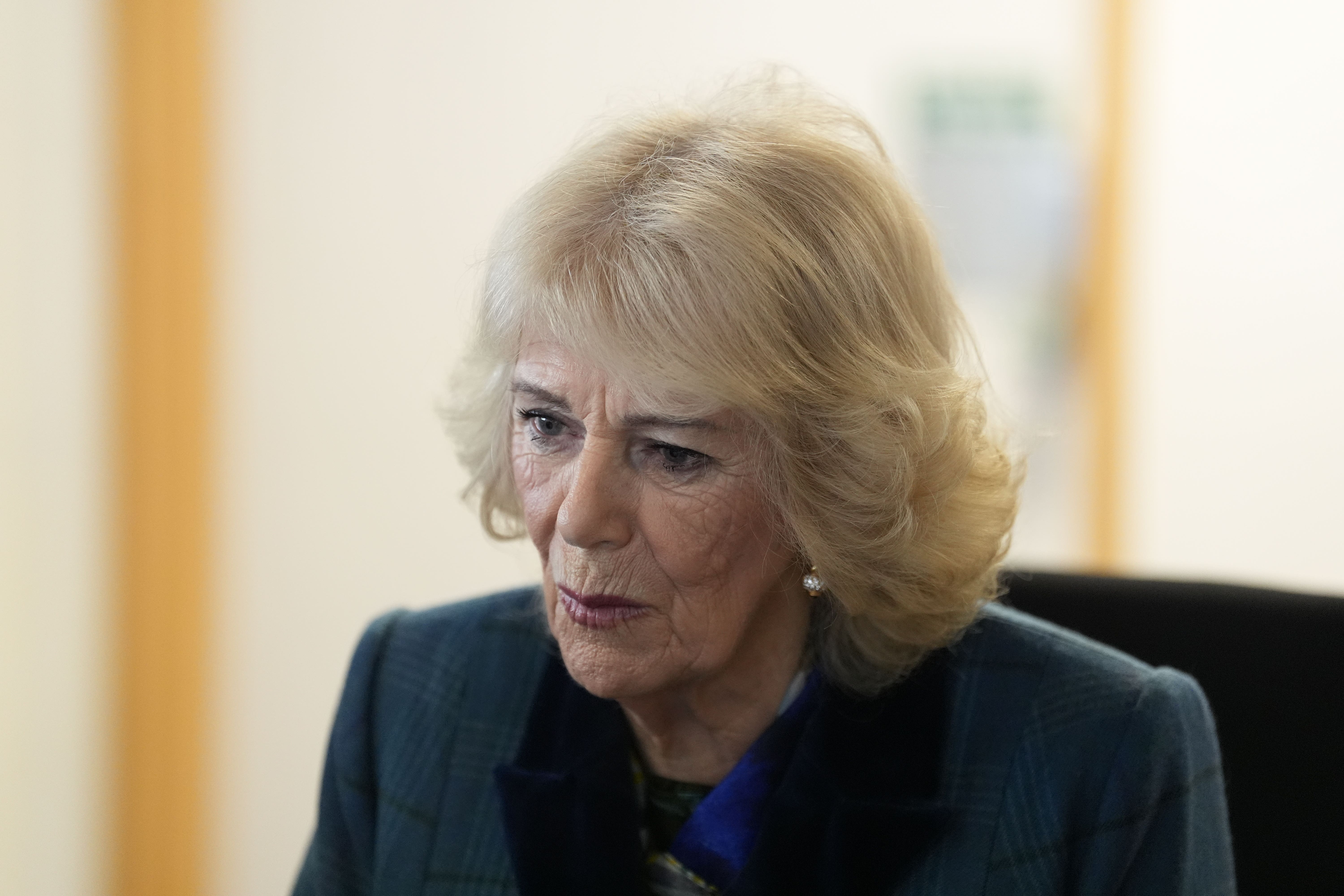 The biography claims Camilla told a friend Harry had been ‘brainwashed’ by Meghan (Andrew Matthews/PA)