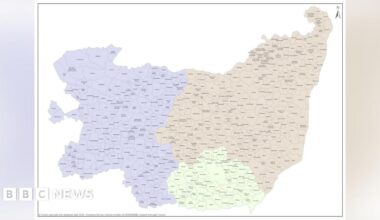 A treated image of a singular tooth with an infection. It is surrounded by dentistry tools.