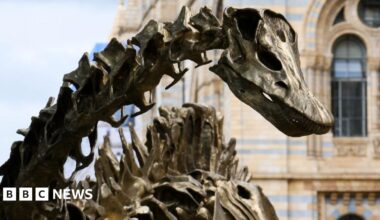 Visitors beneath the suspended skeleton of a Blue Whale in the Hintze Hall, the main entrance atrium at the Natural History Museum on 6th January 2026 in London, United Kingdom.