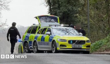 Three police cars can be seen on the side of the road. Police officers are next to a boy who has been arrested. His face has been blurred out
