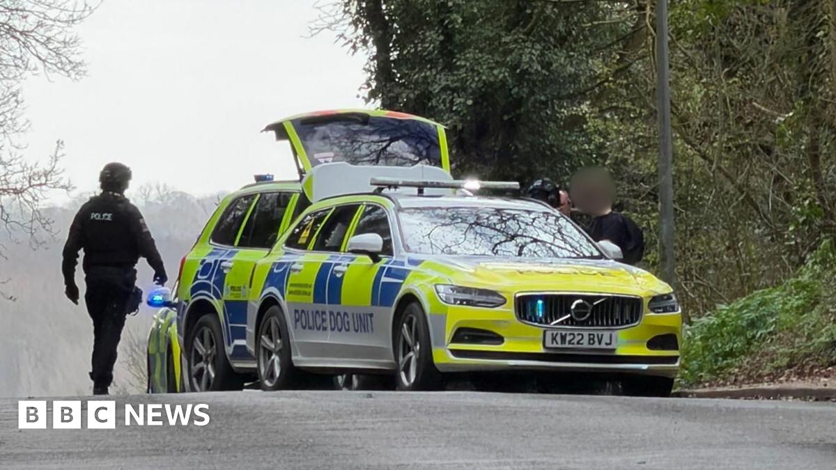 Three police cars can be seen on the side of the road. Police officers are next to a boy who has been arrested. His face has been blurred out