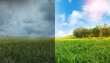 Wet winter, hot summer? What ‘climate whiplash’ means for the UK