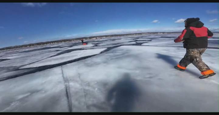 Fisherman describes ‘frantic run’ as ice shelf breaks from Georgian Bay shore