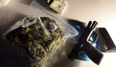 The Supreme Court appears likely to let stoners own guns, in US v. Hemani