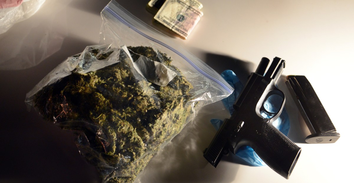 The Supreme Court appears likely to let stoners own guns, in US v. Hemani