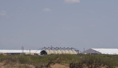 How many people have died in ICE custody this year?