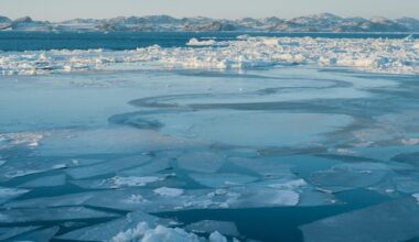 Arctic sea ice hits lowest winter level on record as warming Earth shatters records across the planet