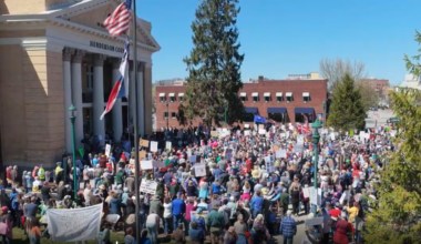 Protesters turn out for local 'No Kings' protests