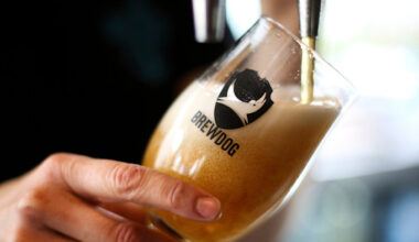 ‘Equity punks’ wiped out in BrewDog’s £33mn sale to cannabis company